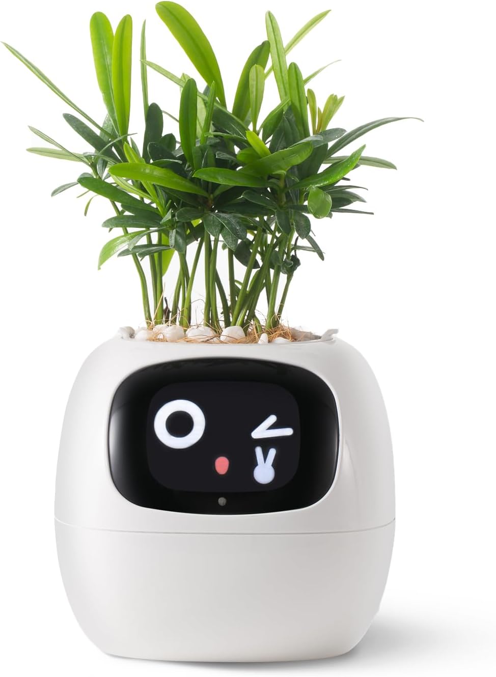 AI Smart Planter