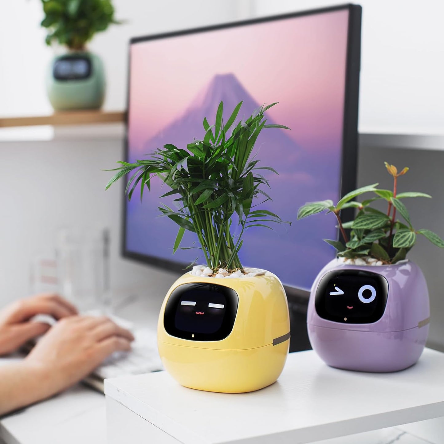 AI Smart Planter