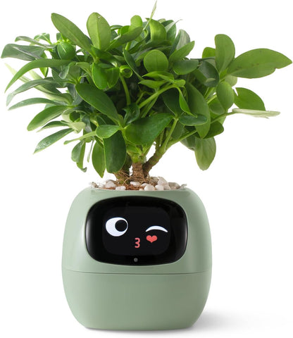 AI Smart Planter