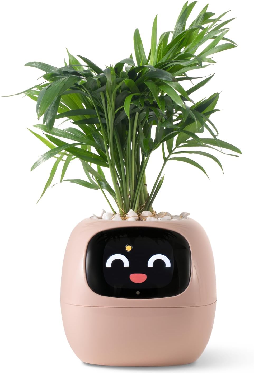 AI Smart Planter