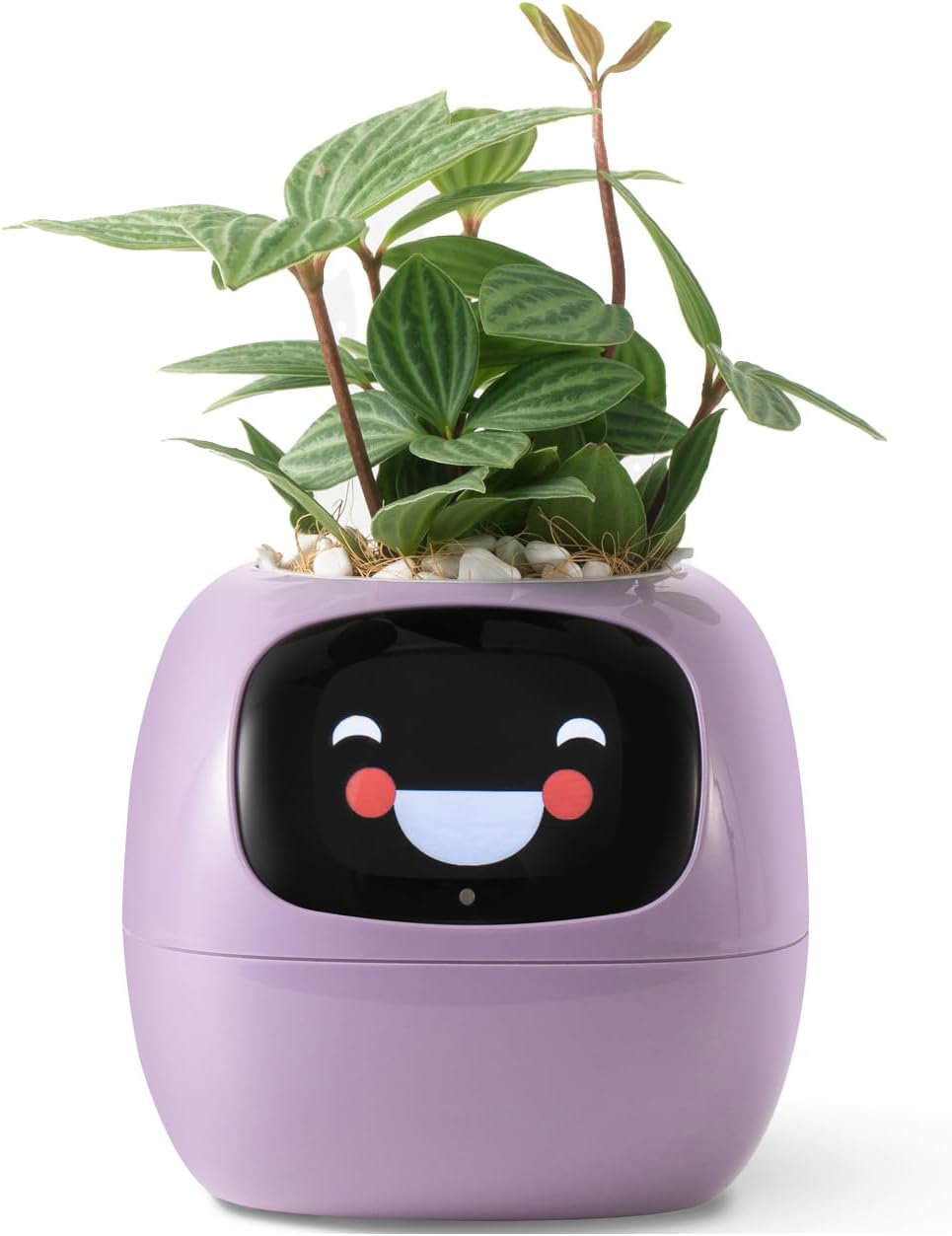 AI Smart Planter